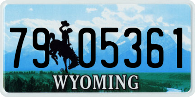 WY license plate 7905361