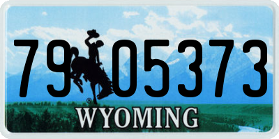 WY license plate 7905373