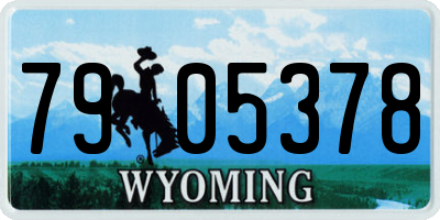 WY license plate 7905378