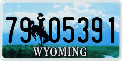 WY license plate 7905391