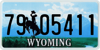WY license plate 7905411