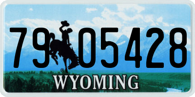 WY license plate 7905428