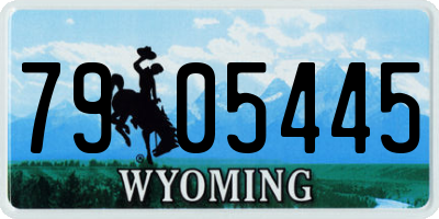 WY license plate 7905445