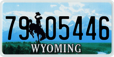 WY license plate 7905446