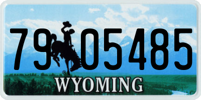 WY license plate 7905485