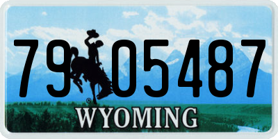 WY license plate 7905487