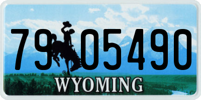 WY license plate 7905490
