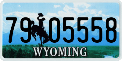 WY license plate 7905558