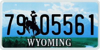 WY license plate 7905561