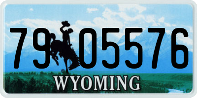 WY license plate 7905576