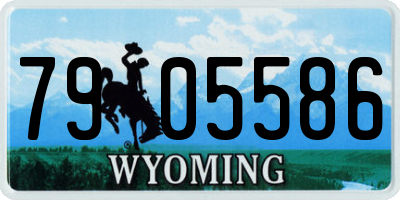 WY license plate 7905586