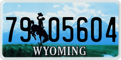 WY license plate 7905604