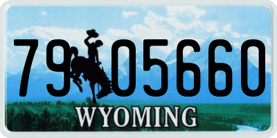 WY license plate 7905660