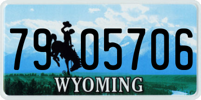 WY license plate 7905706