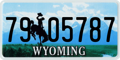 WY license plate 7905787