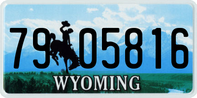 WY license plate 7905816
