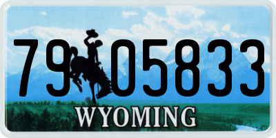 WY license plate 7905833
