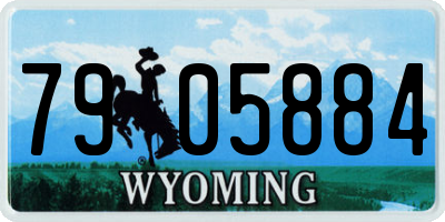 WY license plate 7905884