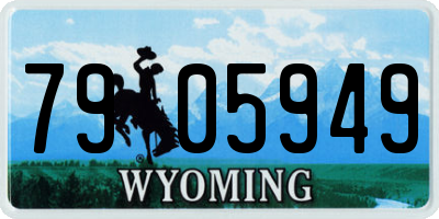 WY license plate 7905949