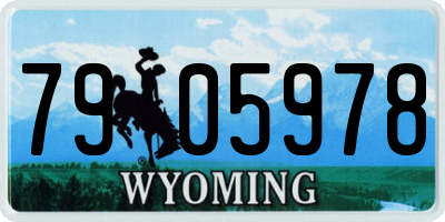 WY license plate 7905978
