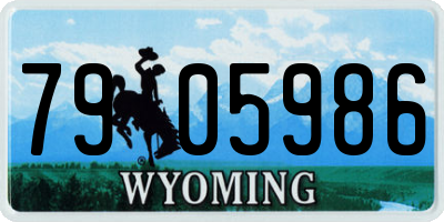 WY license plate 7905986