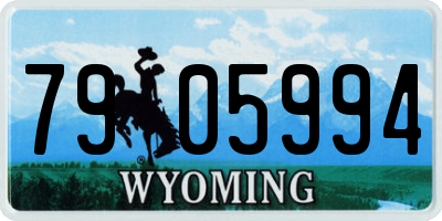 WY license plate 7905994