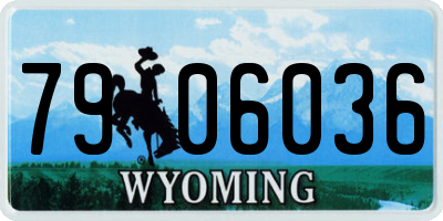 WY license plate 7906036