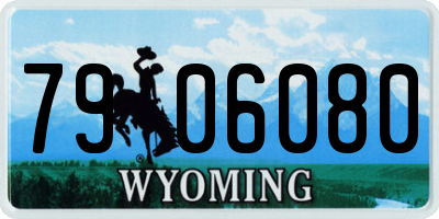 WY license plate 7906080