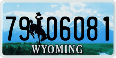WY license plate 7906081