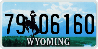 WY license plate 7906160