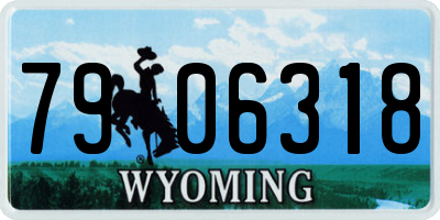 WY license plate 7906318