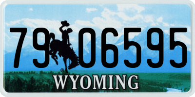 WY license plate 7906595