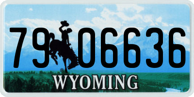 WY license plate 7906636
