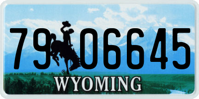 WY license plate 7906645