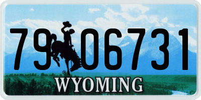 WY license plate 7906731