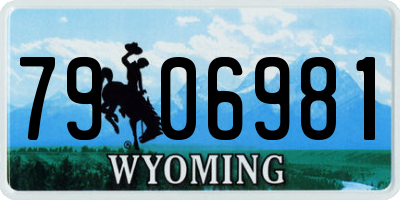 WY license plate 7906981