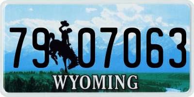 WY license plate 7907063