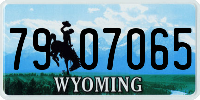 WY license plate 7907065