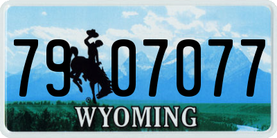 WY license plate 7907077