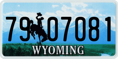 WY license plate 7907081