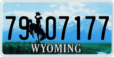 WY license plate 7907177