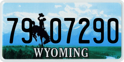 WY license plate 7907290