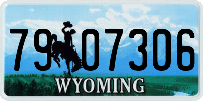 WY license plate 7907306