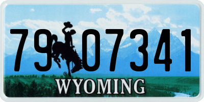 WY license plate 7907341
