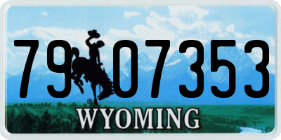 WY license plate 7907353