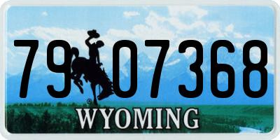 WY license plate 7907368