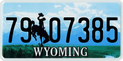 WY license plate 7907385