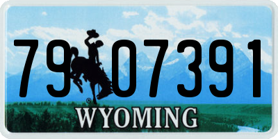 WY license plate 7907391