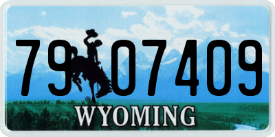 WY license plate 7907409
