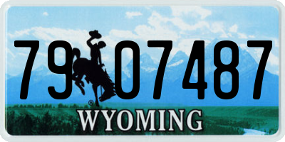 WY license plate 7907487